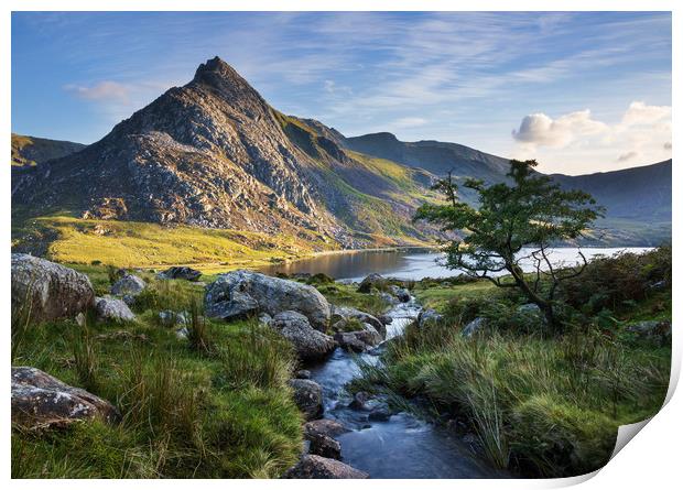 Tryfan Print by Rory Trappe