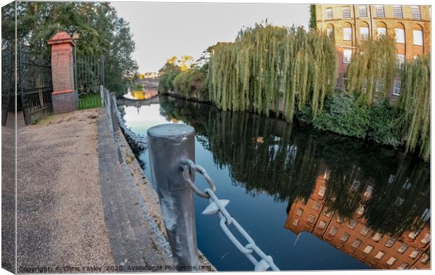 Wide angle view of the footpath along the River We Canvas Print by Chris Yaxley