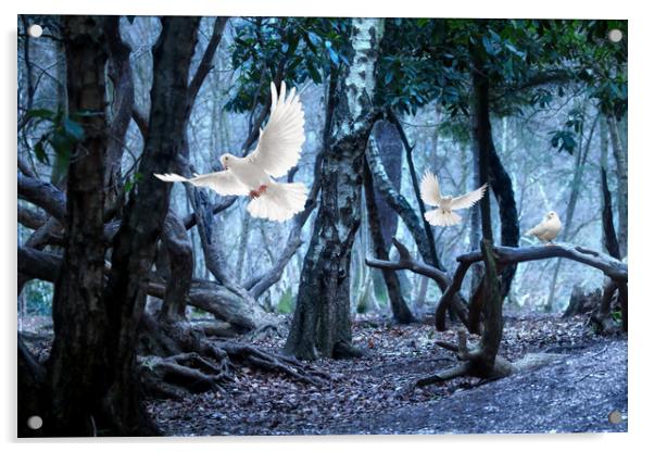 Doves in the dark forest Acrylic by Simon Marlow