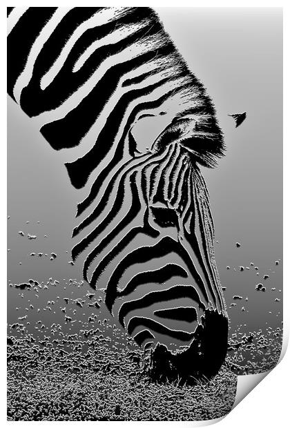 Zebra - Plaster filter Print by Susan Snow