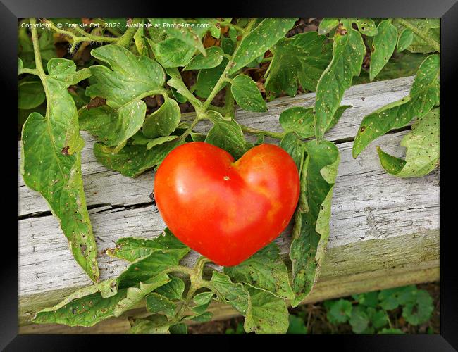 Heart Shaped Tomato Framed Print by Frankie Cat