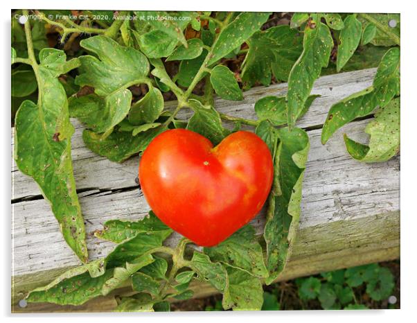 Heart Shaped Tomato Acrylic by Frankie Cat