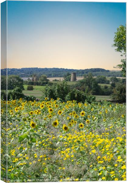 Wentworth Sunflowers and Windmill Canvas Print by Alison Chambers