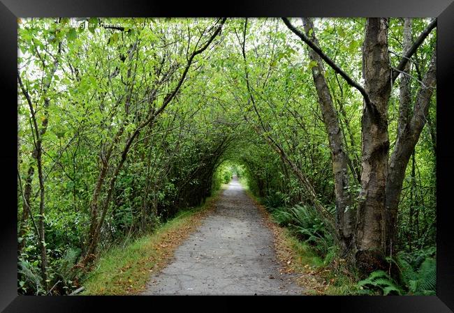 A road through park Framed Print by Ali asghar Mazinanian