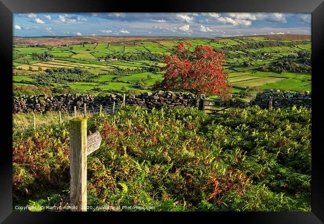 Footpath to Glaisdale, North York Moors Framed Print by Martyn Arnold