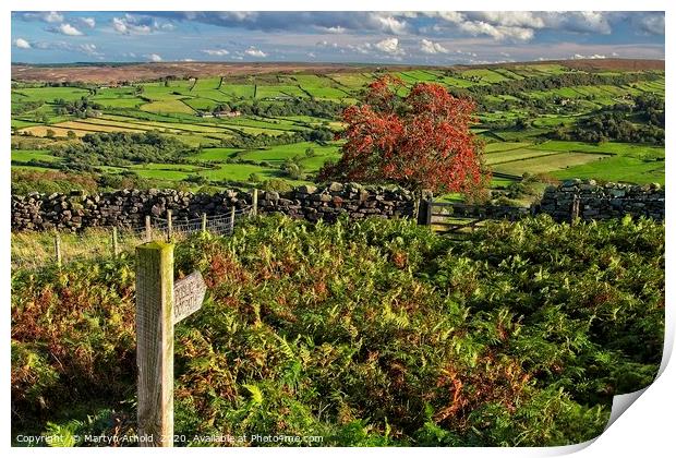 Footpath to Glaisdale, North York Moors Print by Martyn Arnold