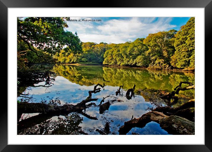 frenchmans creek cornwall Framed Mounted Print by Kevin Britland