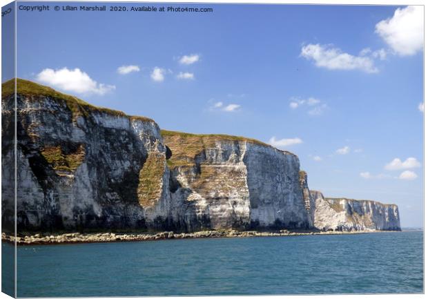 Bempton Cliffs from the sea.  Canvas Print by Lilian Marshall