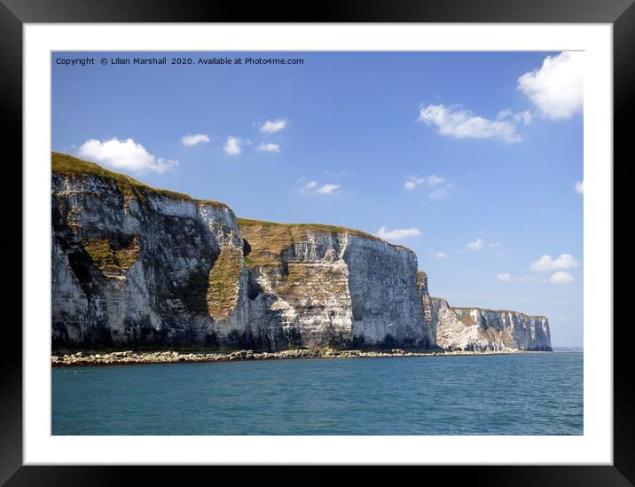 Bempton Cliffs from the sea.  Framed Mounted Print by Lilian Marshall