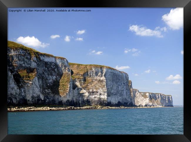 Bempton Cliffs from the sea.  Framed Print by Lilian Marshall