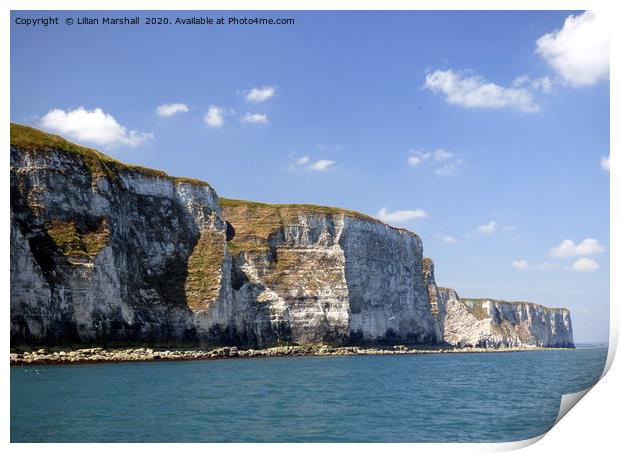 Bempton Cliffs from the sea.  Print by Lilian Marshall