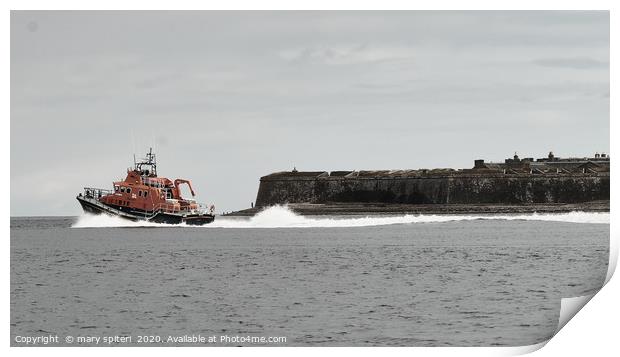 Lifeboat at  Chanonry Point  Print by mary spiteri