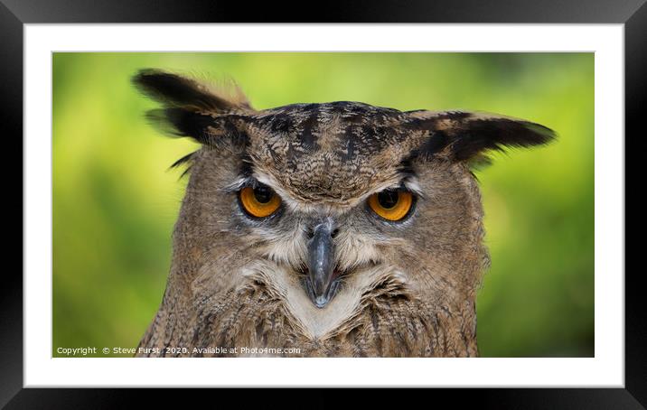 The Owl Framed Mounted Print by Steve Furst