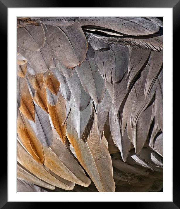Sandhill Crane Feather Detail 2 Framed Mounted Print by Steven Ralser