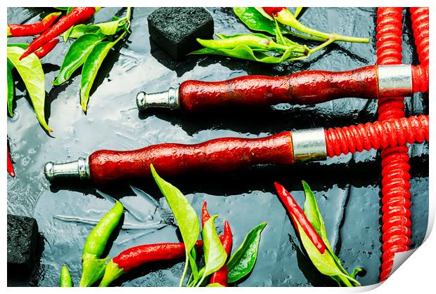Smoking hookah with chili pepper Print by Mykola Lunov Mykola