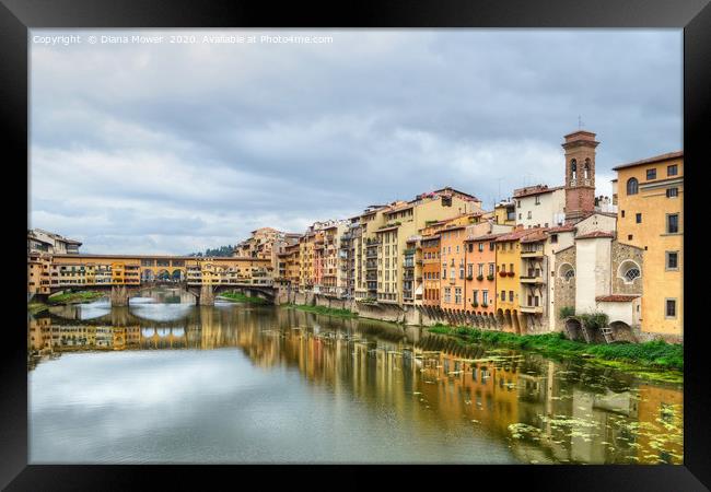 Ponte Vecchio and the river Arno Florence Framed Print by Diana Mower