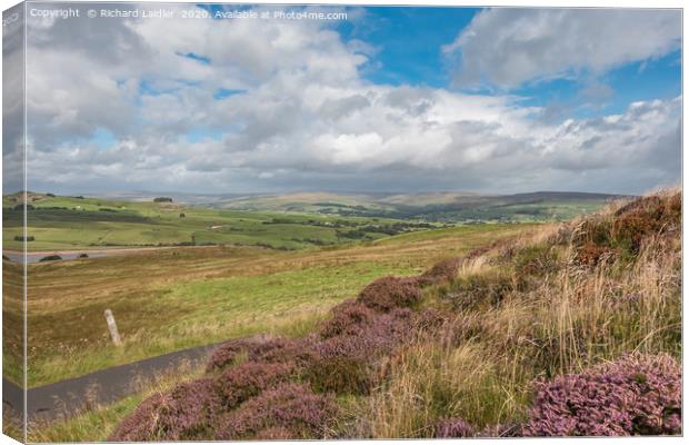 Down into Teesdale from Botany Farm 3 Canvas Print by Richard Laidler