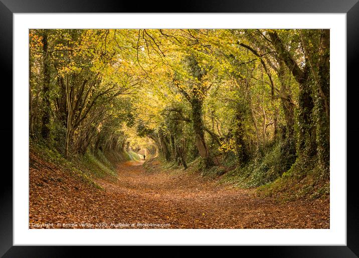 Autumn at Halnaker Tunnel, West Sussex Framed Mounted Print by Emma Varley