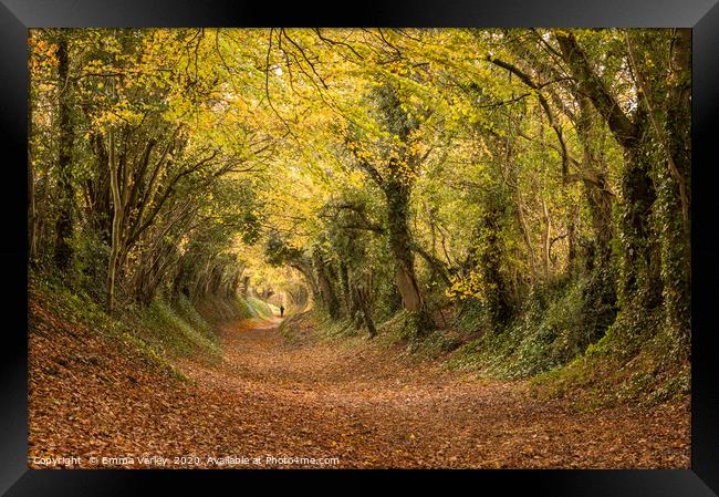 Autumn at Halnaker Tunnel, West Sussex Framed Print by Emma Varley