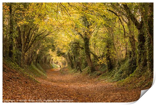 Autumn at Halnaker Tunnel, West Sussex Print by Emma Varley