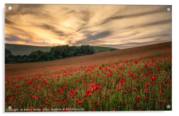 Poppy field sunset Acrylic by Emma Varley