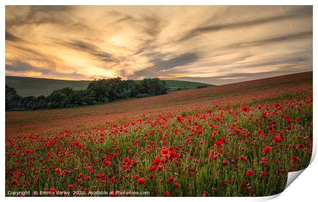 Poppy field sunset Print by Emma Varley