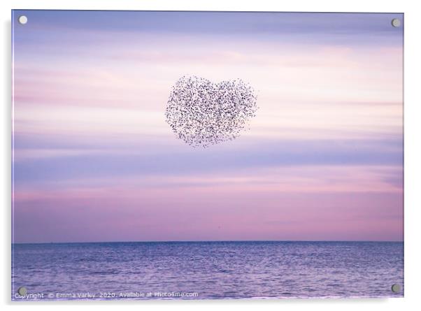 Starling Heart Acrylic by Emma Varley