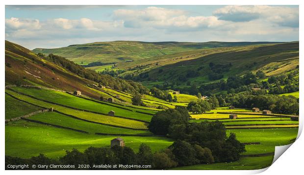 Light on Swaledale Print by Gary Clarricoates