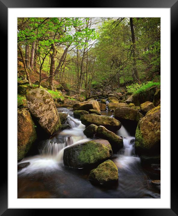 Spring in Padley Gorge Framed Mounted Print by Darren Galpin