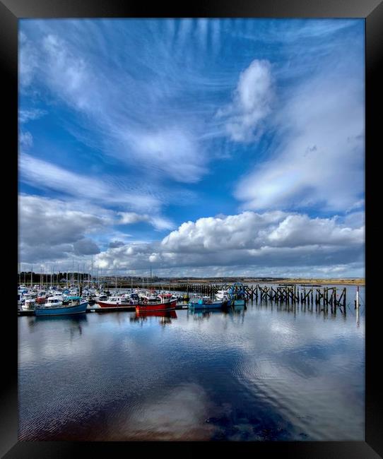 Amble Marina Northumberland Coast  Framed Print by David Thompson