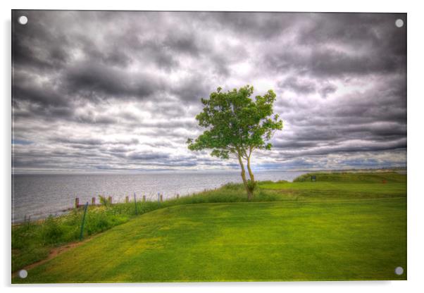  Alnmouth Golf Course Northumberland Coast  Acrylic by David Thompson
