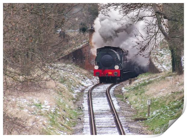 Steaming in the snow Print by Alf Damp