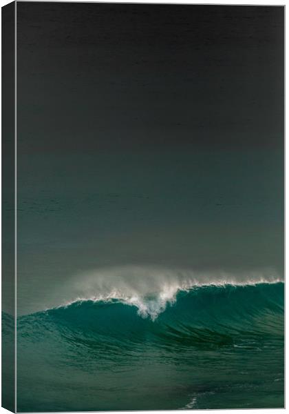 The Wave Canvas Print by Pete Evans