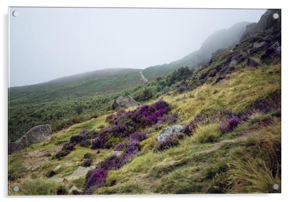 Ilkley Moor Landscape Acrylic by Svetlana Sewell