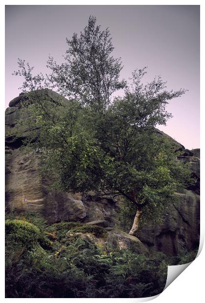 Ilkley Moor Landscape Print by Svetlana Sewell