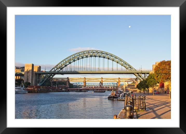 Newcastle Tyne Bridges Framed Mounted Print by Rob Cole