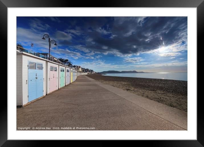Beach huts at Lyme Regis Framed Mounted Print by Andrew Ray