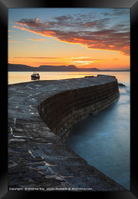 Towards sunrise (The Cobb) Framed Print by Andrew Ray