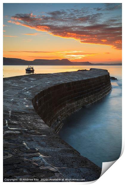 Towards sunrise (The Cobb) Print by Andrew Ray