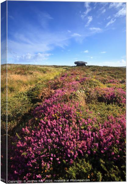 Heather at Chun Quoit Canvas Print by Andrew Ray