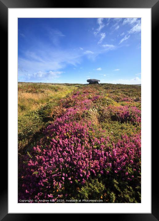 Heather at Chun Quoit Framed Mounted Print by Andrew Ray