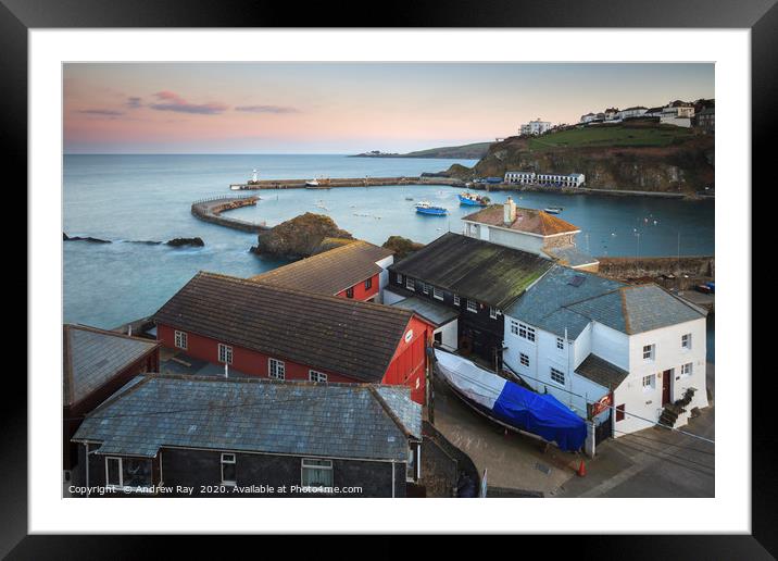 Above the museum (Mevagissey). Framed Mounted Print by Andrew Ray