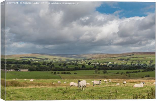 Upper Teesdale from the Kelton Road Canvas Print by Richard Laidler