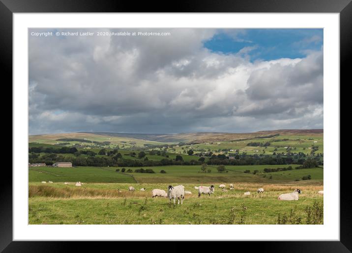 Upper Teesdale from the Kelton Road Framed Mounted Print by Richard Laidler