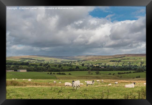 Upper Teesdale from the Kelton Road Framed Print by Richard Laidler