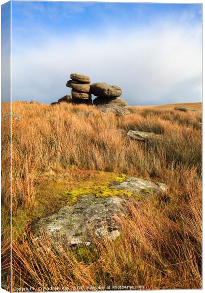 Black Tor (Dartmoor) Canvas Print by Andrew Ray