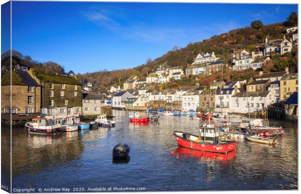Polperro Boats. Canvas Print by Andrew Ray