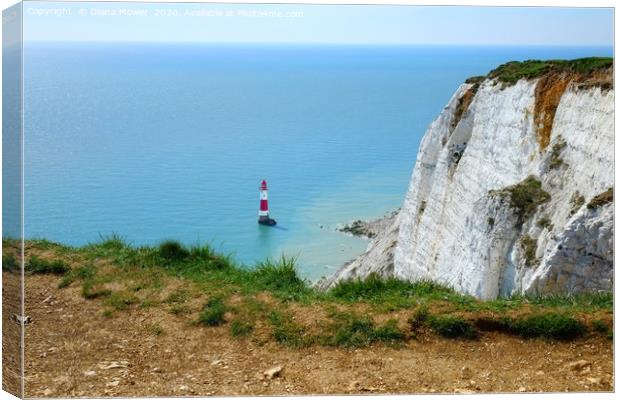 Beachy Head East Sussex Canvas Print by Diana Mower