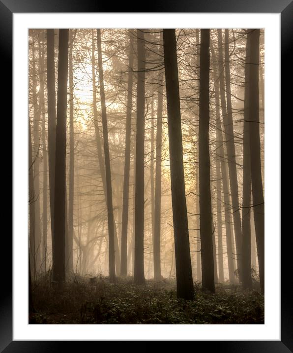 Moody Morning Fog Framed Mounted Print by Darren Ball