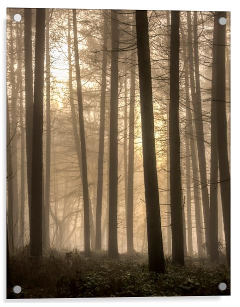 Moody Morning Fog Acrylic by Darren Ball